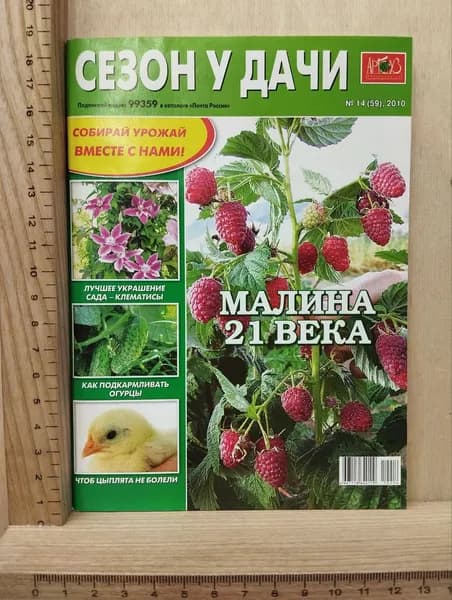 Журнал "Сезон у дачи" № 14 (59) 2010 г.