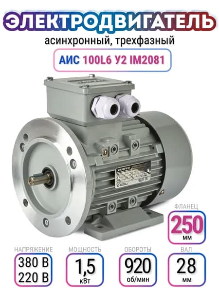 Электродвигатель 100L6 АИС, 220В/380В, мощность 1,5 кВт, частота вращения 920 об/мин, лапы+фланец, вал 24 мм, трехфазный асинхронный, VEMPER