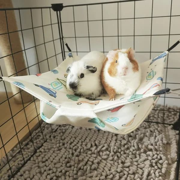 Хомяк Висячие Кровати