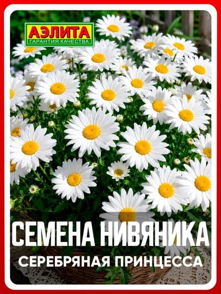 Семена Нивяник низкорослый "Серебряная принцесса" 0,2 гр, многолетние цветы для дома и дачи, сада и огорода, клумбы, в открытый грунт, в ящик.