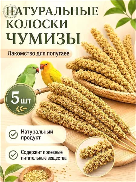 Чумиза для попугаев 5 шт. сенегальское просо лакомство игрушка для птиц и грызунов , урожай 2025 года - КОПОШИЛКА бренд от производителя