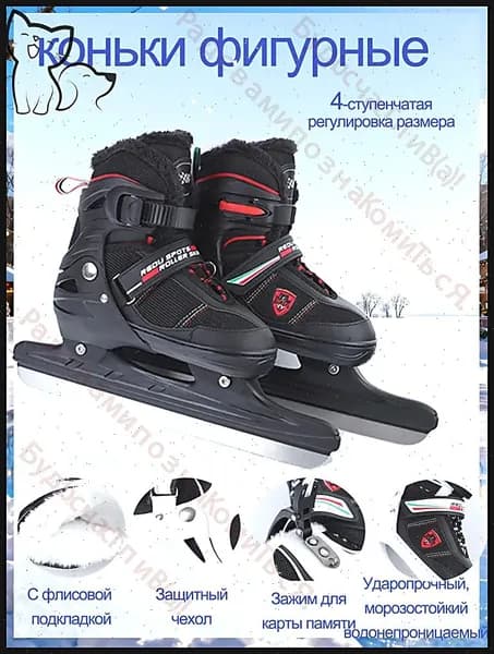 Коньки