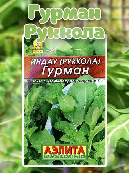 Семена Индау (руккола) Гурман, 0,3 г, Лидер (Аэлита)