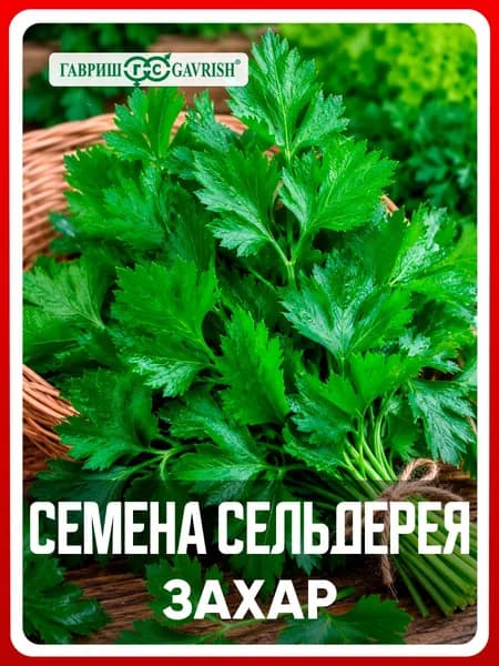 Семена Сельдерей листовой "Захар" 0,1 г, для дачи, сада и огорода, в открытый грунт, для теплиц и парников