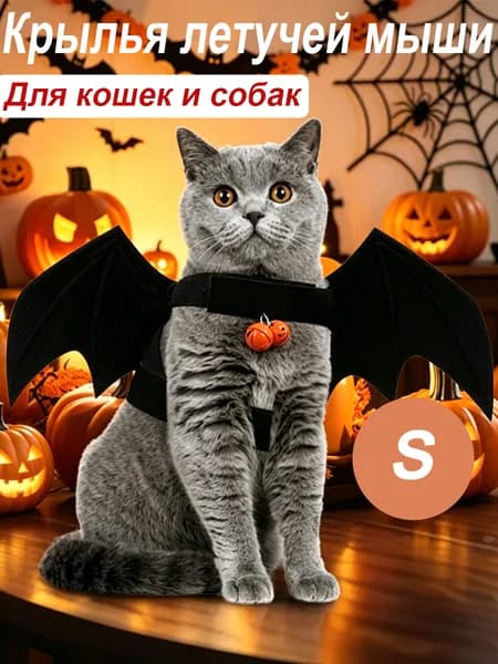 Крылья домашней летучей мыши