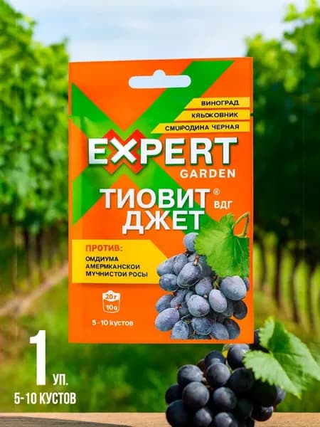 Фунгицид Тиовит Джет ВДГ для винограда, крыжовника и смород