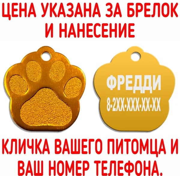 Адресник с гравировкой для кошек и собак