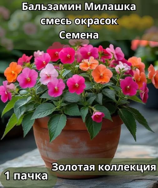 Семена Бальзамина "Милашка смесь окрасок", Семена 10 шт в пачке