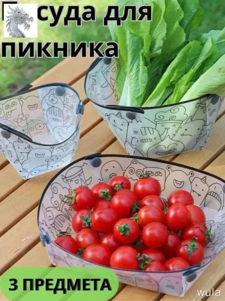 складной / кемпинговый пластиковый поднос / 3 шт.
