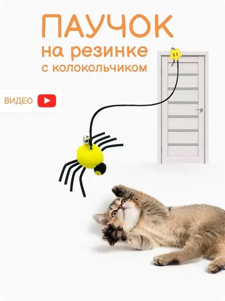 Игрушка для кошек на резинке. Интерактивная дразнилка Паук.