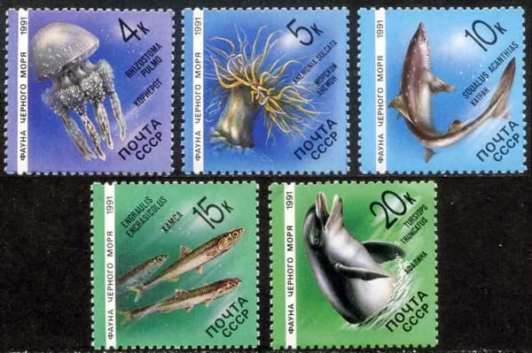 СССР-1991. Фауна Черного моря. Серия из 5 марок. Негашеная