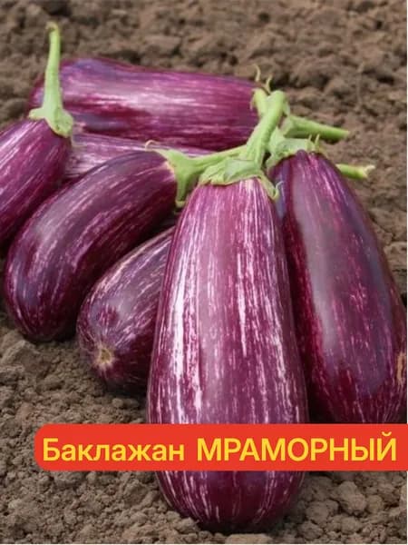 Баклажан МРАМОРНЫЙ - Раннеспелый, высокоурожайный! / Семена баклажана 0,1 гр. - Агрофирма АЭЛИТА