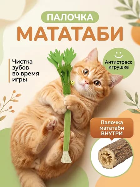 Игрушка-дразнилка для кошек с палочками мататаби Точение когтей и чистка зубов