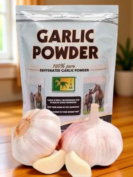 GARLIC POWDER (ЧЕСНОЧНЫЙ ПОРОШОК) для лошадей, 1кг
