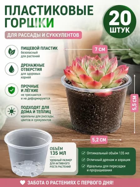Вазон 0.135 л, 5.5 см, 20 шт, цвет прозрачный