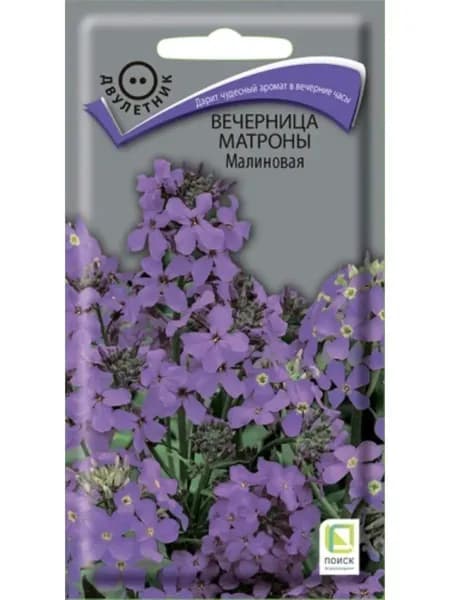 Семена Вечерница Матроны Малиновая