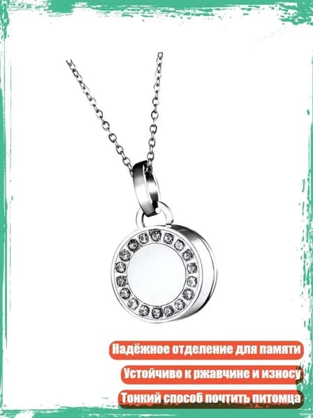 Круглые украшения для праха питомца с цепью, серебро