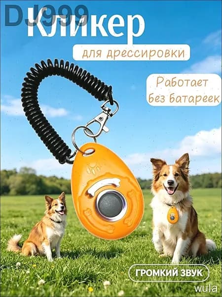 Кликер для дрессировки собак, оранжевый