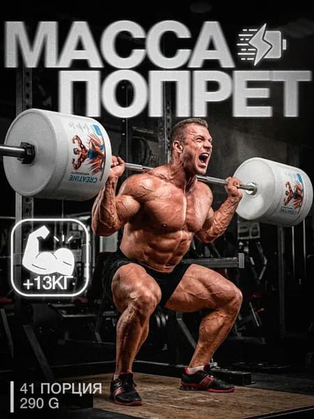 CREATINE MONOHIDRATE / Креатин моногидрат, протеин для набора мышечной массы, креатин, гейнер для набора мышечной массы / 290 г
