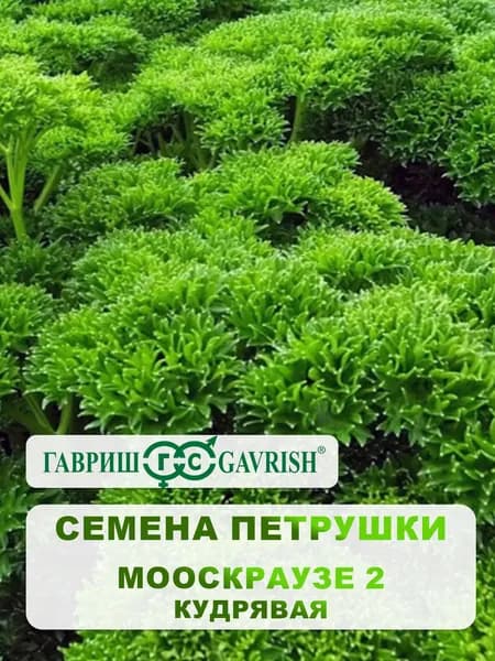 Семена Петрушки кудрявая "Мооскраузе 2" 2 гр.