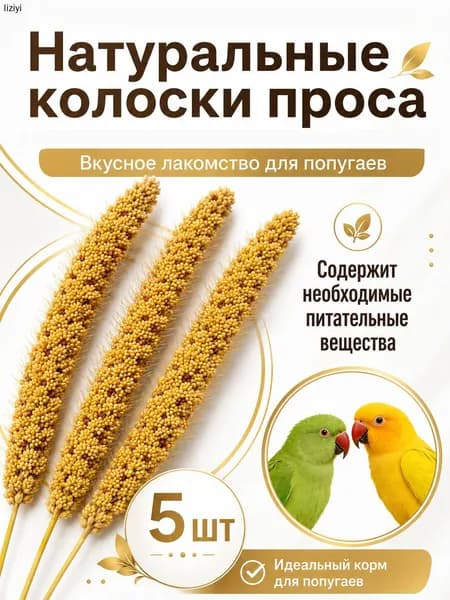 Чумиза для попугаев 5 шт. сенегальское просо лакомство игрушка для птиц и грызунов , урожай 2025 года - КОПОШИЛКА бренд от производителя