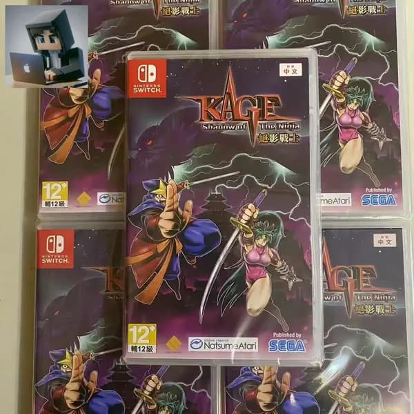 Игра Shadow of the Ninja - Reborn (Nintendo Switch, Английская версия)