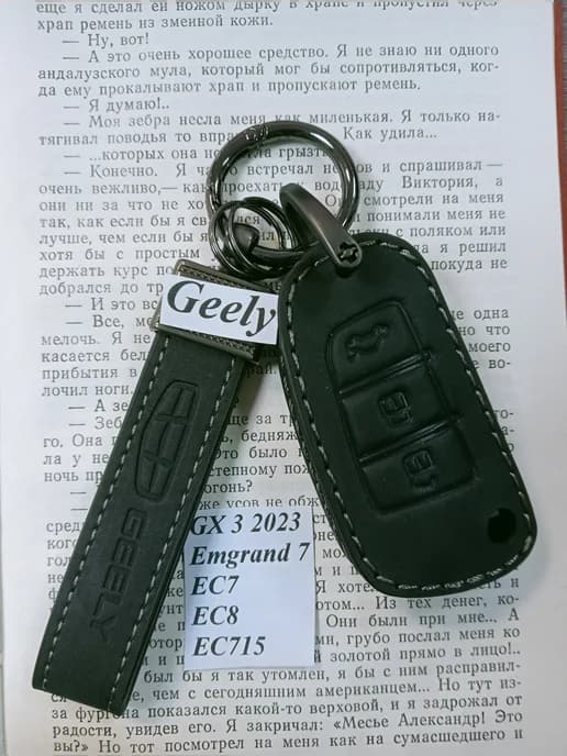 Чехол для выкидного ключа Gеely