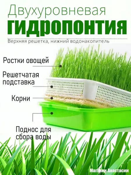 Гидропонная установка