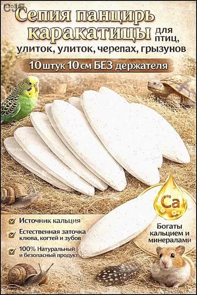 Сепия панцирь каракатицы для птиц, улиток, черепах, грызунов 10 штуки 10 см БЕЗ держателя