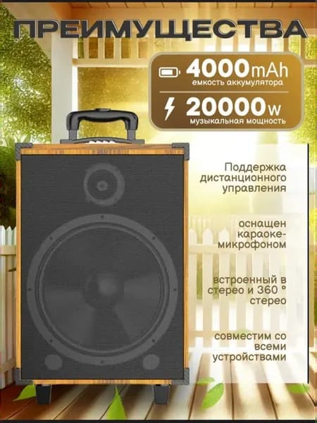 Большая колонка 901 караоке