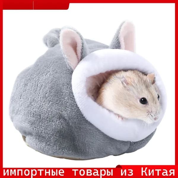 Эксклюзивная забава для питомцев