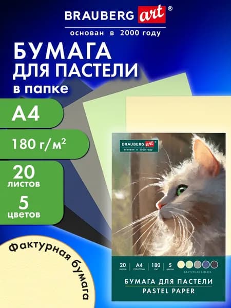 Бумага для пастели, для рисования художественная цветная A4, набор 20 листов 5 цветов в папке, 180 г/м2, Brauberg Art
