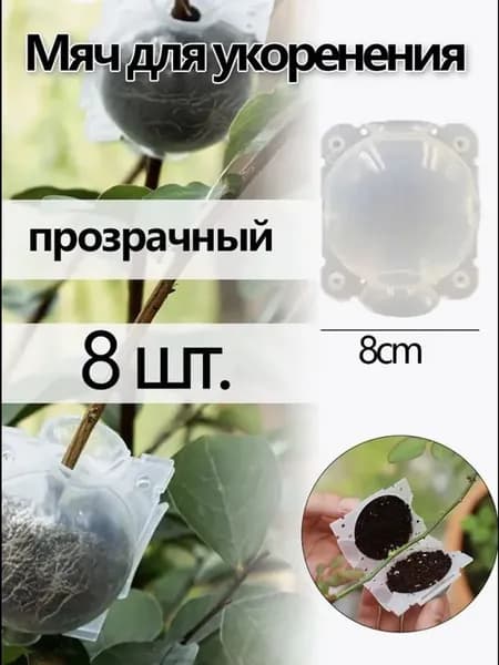 Набор из 8 прозрачных шаров для укоренения растений, 8 см