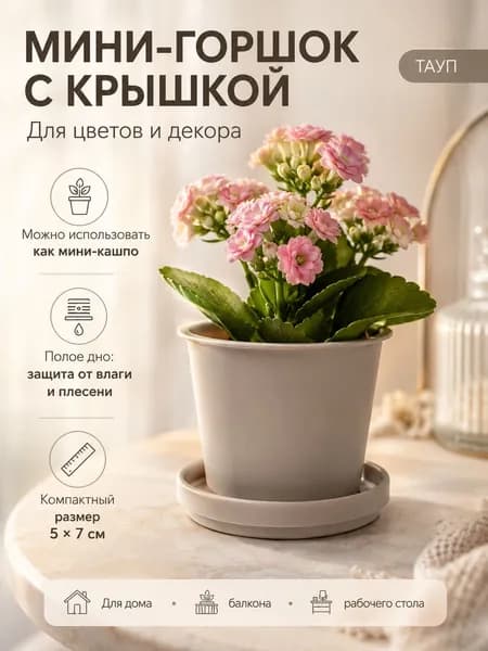 Вазон 0.11 л, 7 см, 1 шт, цвет темно-серый