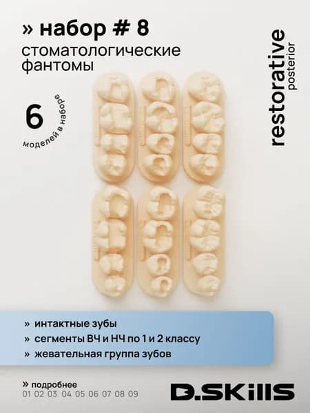 Набор №8 жевательные блоки (модели зубов сегменты) (6 штук) препарированные + анатомия / для отработки мануальных навыков / цвет - натуральный