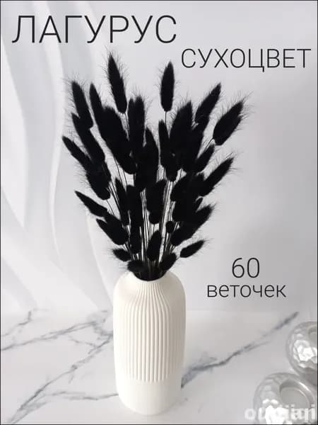 Сухоцветы Лагурус 55 см 60 шт черный