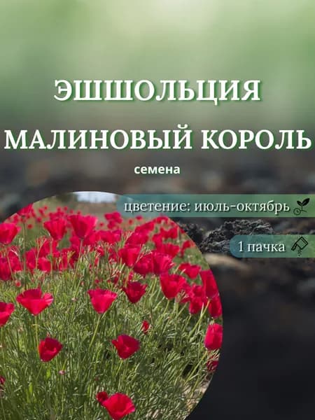 Эшшольция Малиновый король, семена, 10 шт.