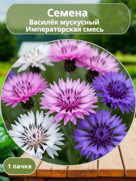Василёк мускусный Императорская смесь, семена 10 шт