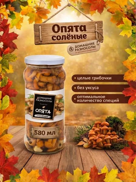 Опята солёные 580 мл., Беларусь