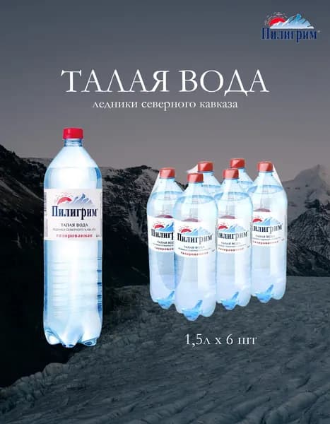 Минеральная питьевая вода Пилигрим газированная, ПЭТ (1,5л*6шт)