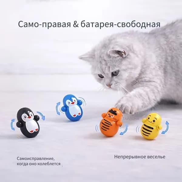 5 упаковок самокручивающихся игрушек для кошек-неваляшек в помещении.Батарея не требуется.Легкие пластиковые развивающие игрушки для кошек, выполненные в случайном порядке.
