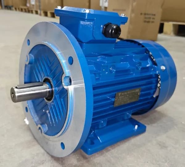 Электродвигатель MS 100L2-4 (3/1500) 220/380 IP55 PTC/135 RAL5010 B35