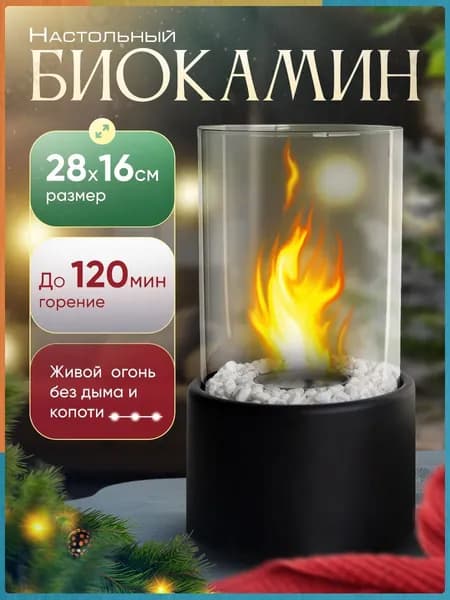 SPRINGHOUSE Биокамин Настольная установка