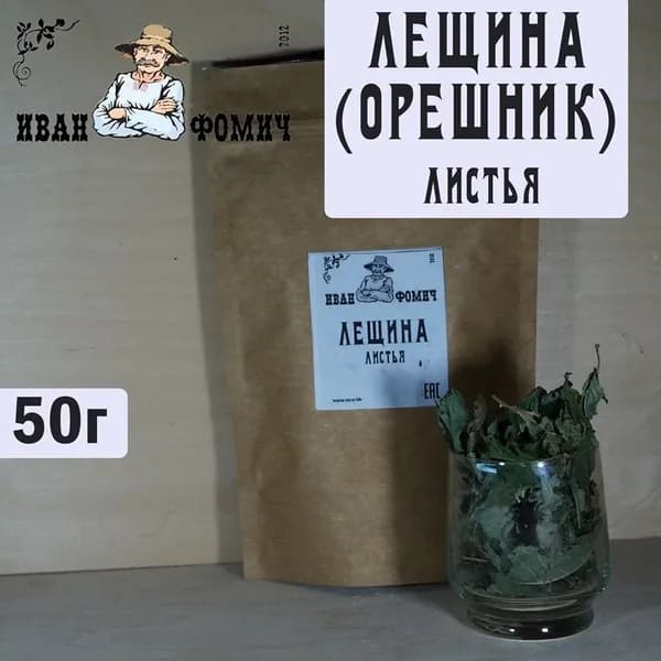 Лещина листья