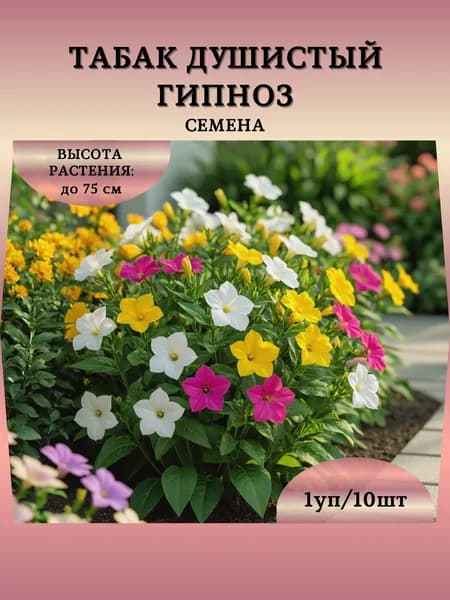 Табак душистый "Гипноз, смесь" семена, 1 пачка