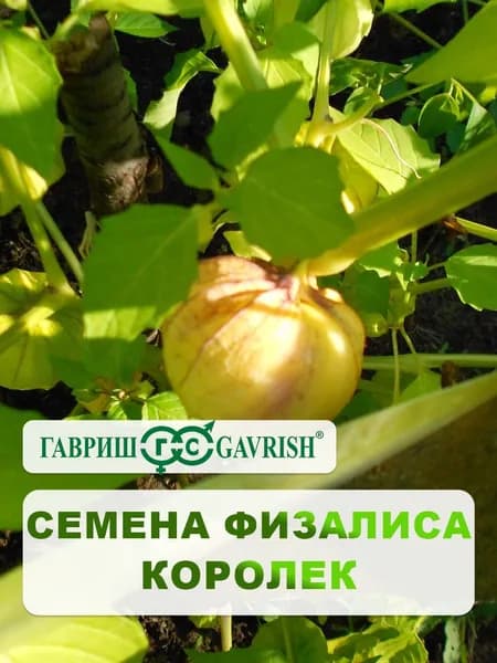 Семена Физалис "Королек" 0,3 г, для дачи, сада и огорода, в открытый грунт, для теплиц и парников