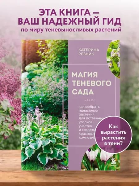 Магия теневого сада. Как выбрать идеальные растения