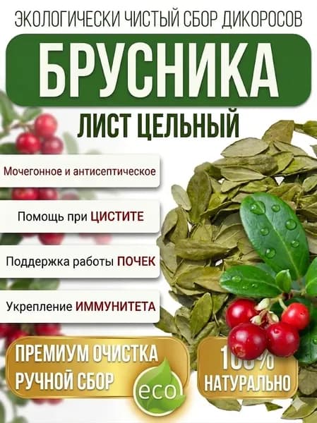 Брусника листья для чая и настоек, мочегонное средство от отеков