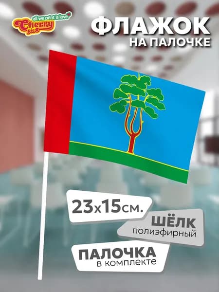 Флаг 23x15 на палочке Черноголовка (Московская область)