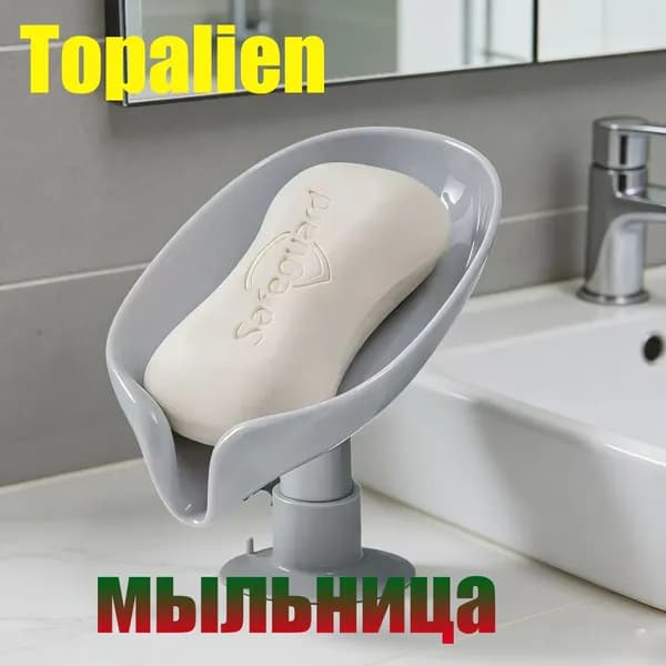Мыльница